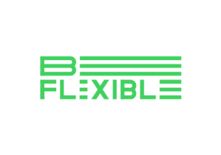 Foto Luz verde al proyecto europeo BeFlexible que aumentará la flexibilidad del sistema energético